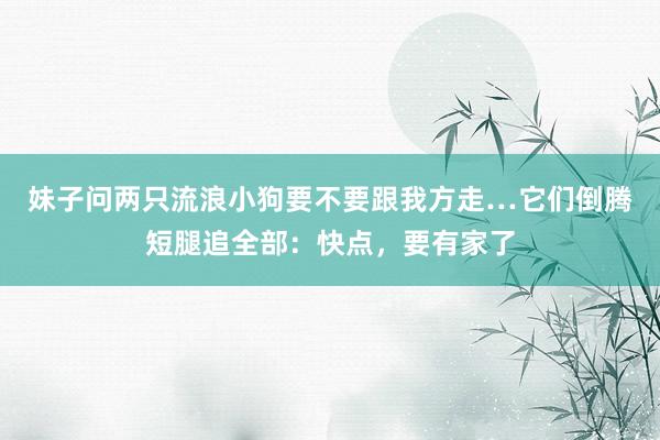 妹子问两只流浪小狗要不要跟我方走…它们倒腾短腿追全部：快点，要有家了