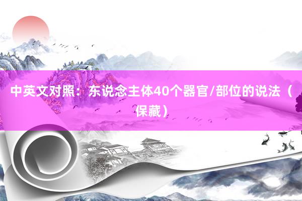 中英文对照：东说念主体40个器官/部位的说法（保藏）