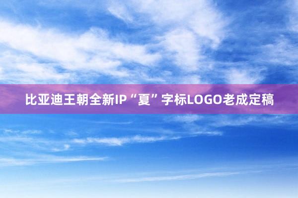 比亚迪王朝全新IP“夏”字标LOGO老成定稿