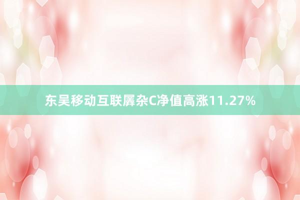 东吴移动互联羼杂C净值高涨11.27%