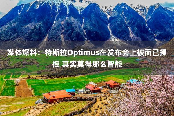 媒体爆料：特斯拉Optimus在发布会上被而已操控 其实莫得那么智能