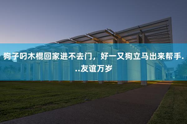 狗子叼木棍回家进不去门，好一又狗立马出来帮手...友谊万岁