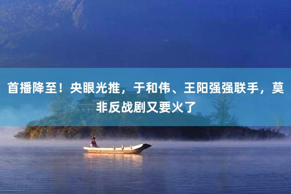 首播降至！央眼光推，于和伟、王阳强强联手，莫非反战剧又要火了