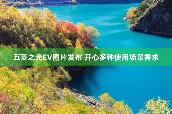 五菱之光EV图片发布 开心多种使用场景需求